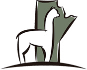 Manitoba Alpaca Club